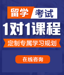 小说啊啊快点骚货初中生留学考试一对一精品课